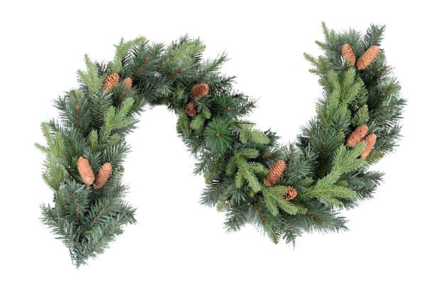 Fresh Spruce with Long Cones Holiday Garland