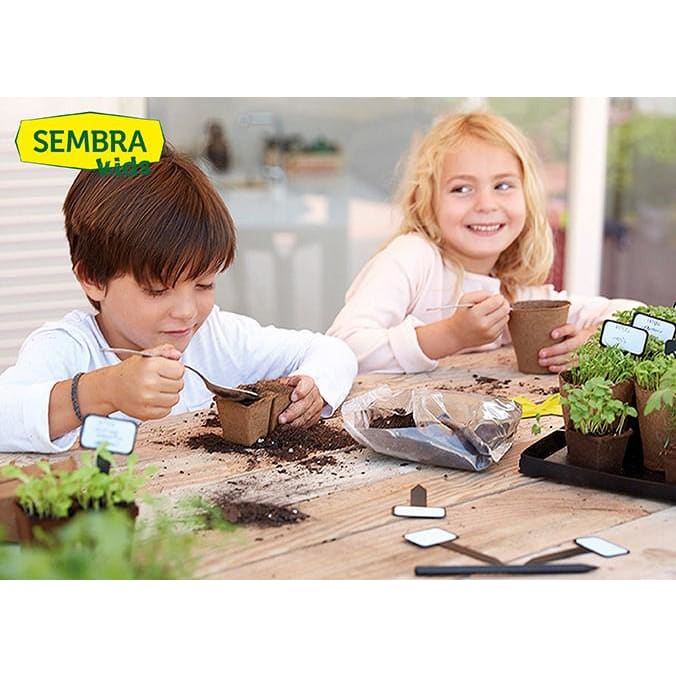 Grow your Own Summer Flowers